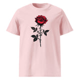 Cotton Pink